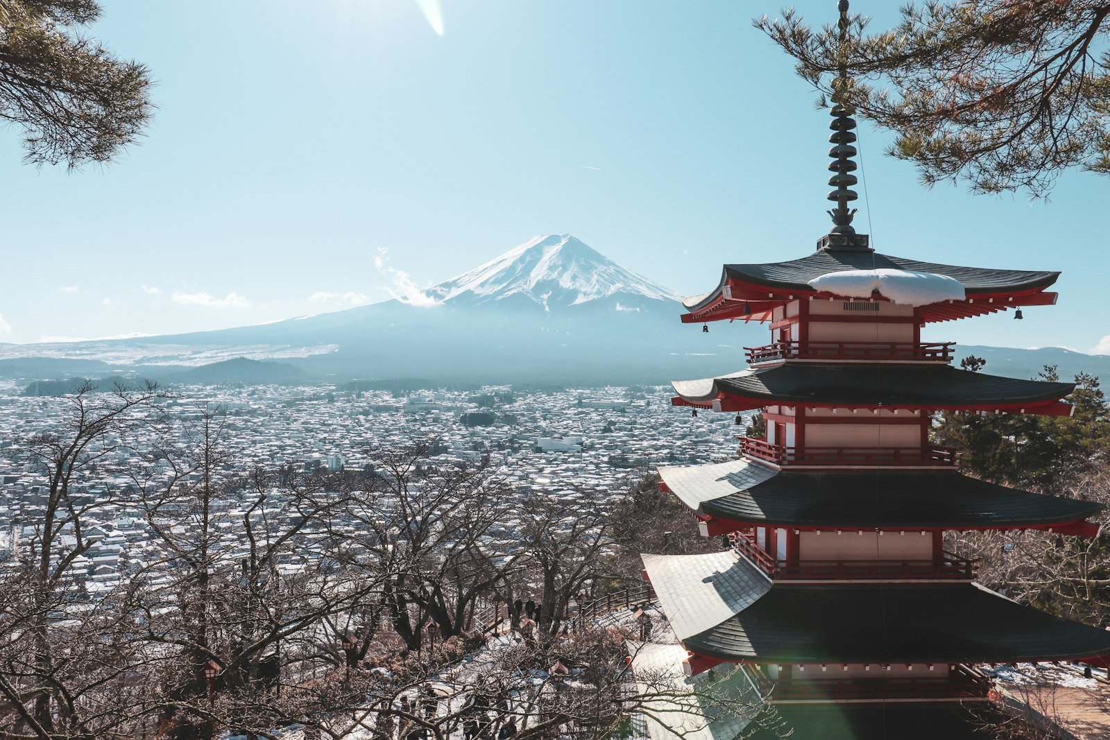 Szczepienia do Japonii